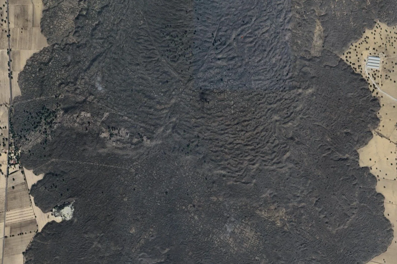 Satellite view of Cantona in Puebla, Mexico, showing the small excavated archaeological core surrounded by extensive unrestored stone platforms, walls, terraces, and linear remains across the landscape, with the dark lava flow visible beside the site.