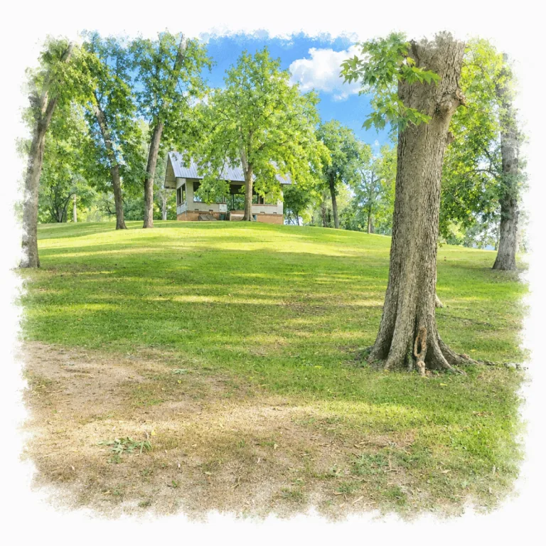View from the base of Rockwell Mound in Havana, Illinois, looking up the Havana Hopewell earthwork toward the bandstand on its summit.