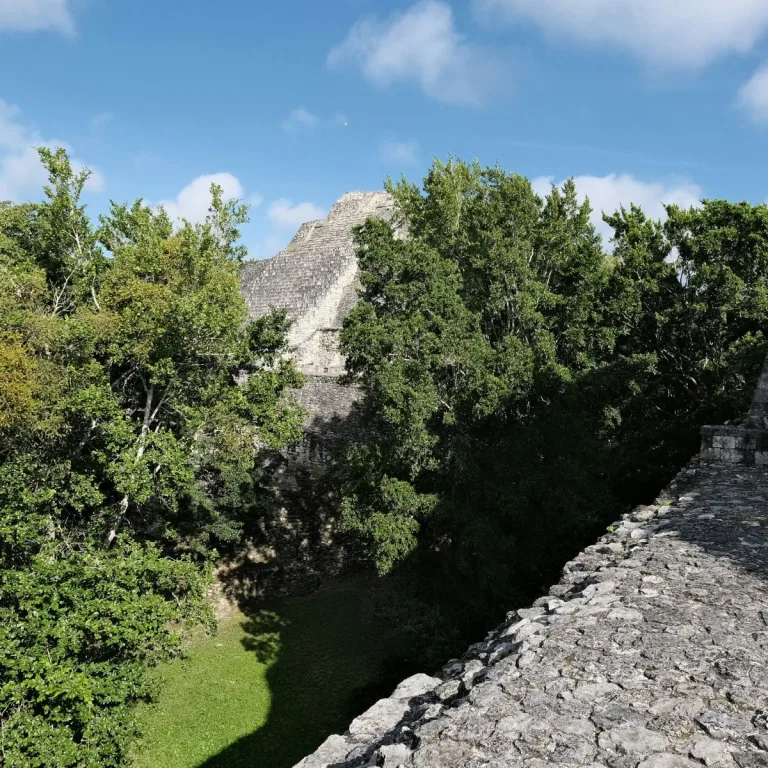 Structure IX at Becán in Campeche, Mexico, a large Maya pyramid rising above dense forest and viewed from the elevated platform of Structure VIII.