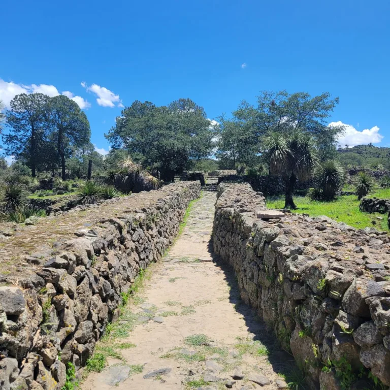 Calzada 1, or Calzada Ignacio Marquina, at Cantona in Puebla, Mexico, showing the stone-paved pre-Hispanic road enclosed by high masonry walls.