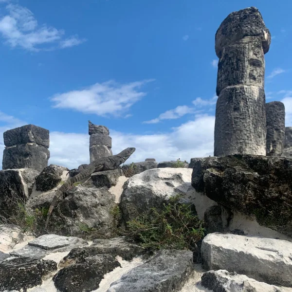 An iguana rests among stone columns and masonry remains at the Maya archaeological site of El Rey in Cancún, Quintana Roo, Mexico.