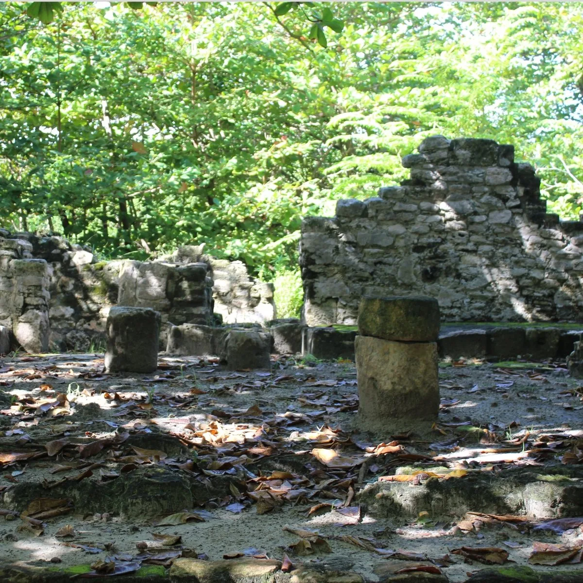 Stone column bases and low masonry walls stand among fallen leaves and dense forest at San Miguelito in Cancún, Mexico.
