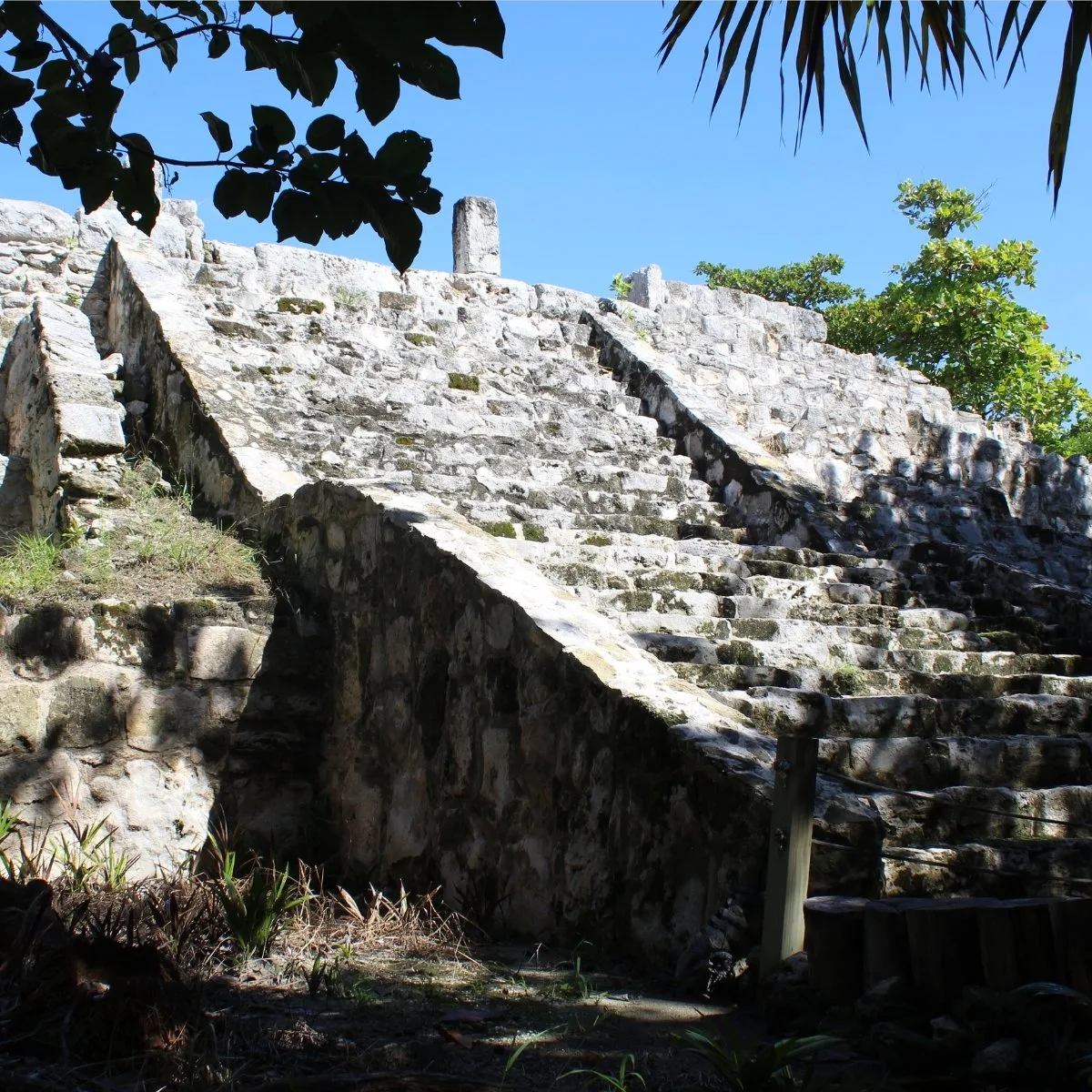 The stone stairway and sloping sides of the Main Pyramid at San Miguelito rise beneath tropical vegetation in Cancún, Mexico.