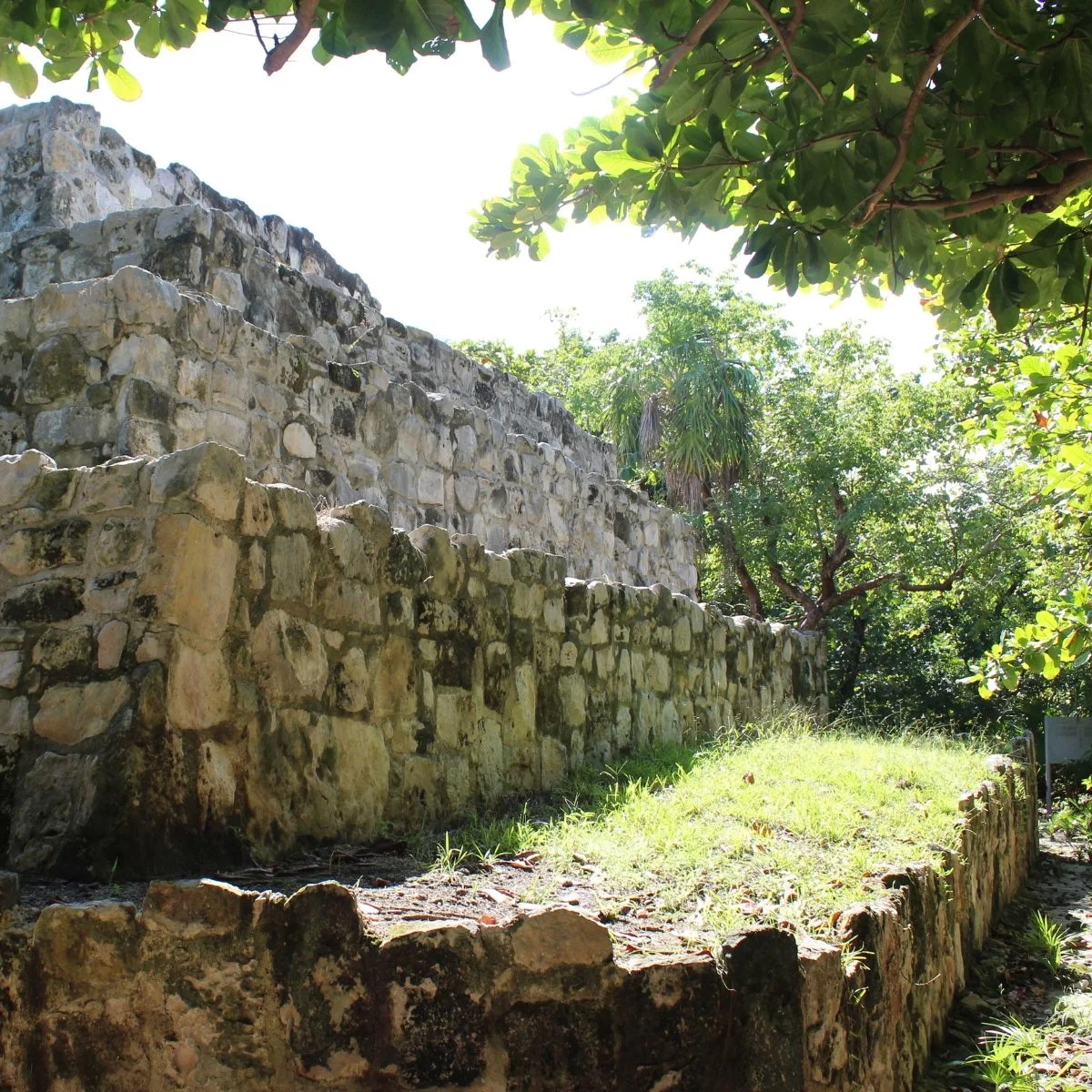 Stepped limestone walls along the side of the Main Pyramid at San Miguelito are surrounded by tropical forest.