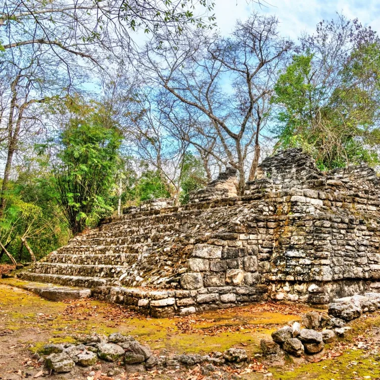 Stepped stone platform at Balamkú in Campeche, Mexico, showing a broad limestone staircase, partially collapsed upper masonry, and trees growing among the Maya ruins.