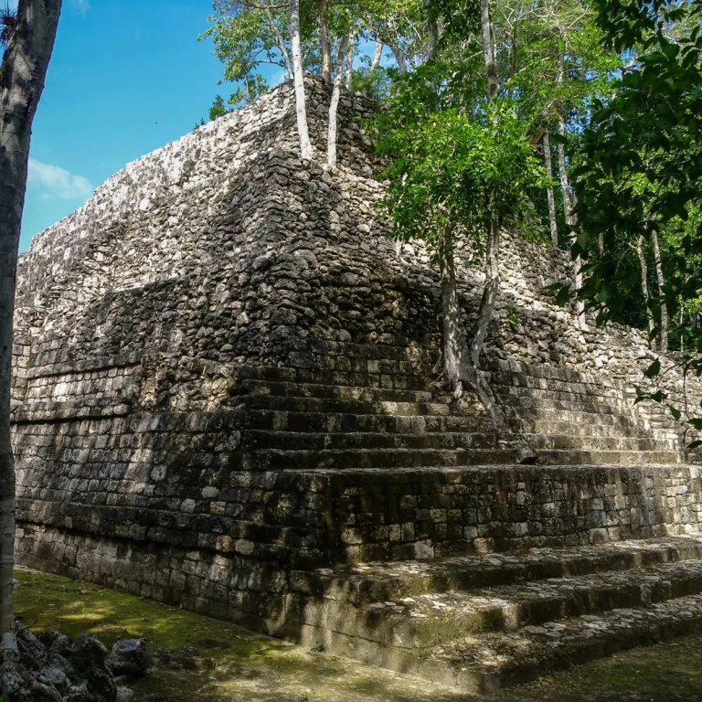 Corner of a monumental Maya pyramid at Balamkú in Campeche, Mexico, showing successive limestone masonry courses, stepped terraces, and trees growing above the ancient structure.