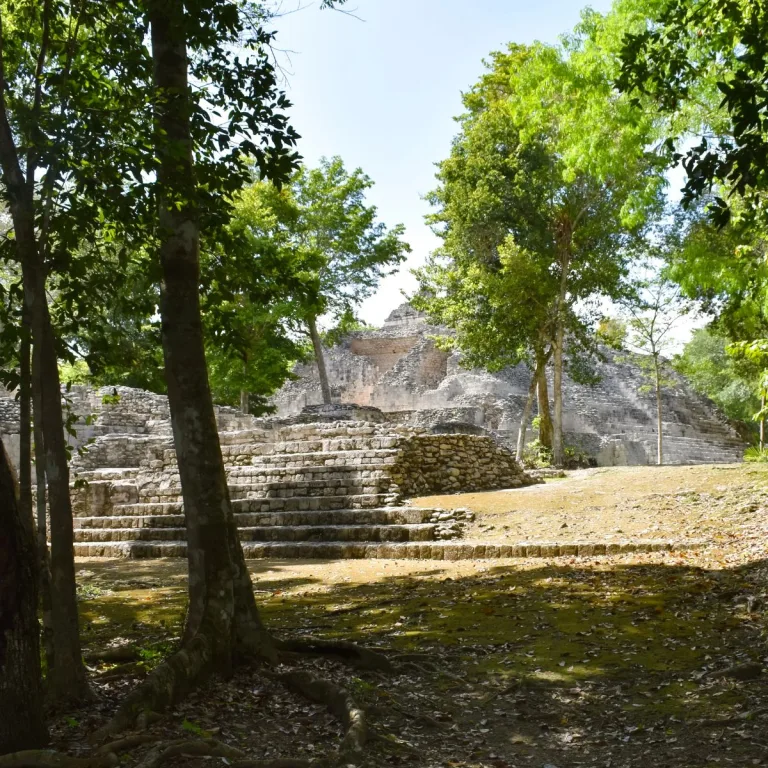 Trees frame a low stepped platform at Becán, with a larger stone building and broad staircase behind it.