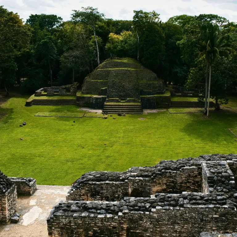 Structure B5 at Caracol in Cayo District, Belize, viewed across a grassy plaza, with rounded terraces, a central staircase, flanking palace ruins, and dense tropical forest.