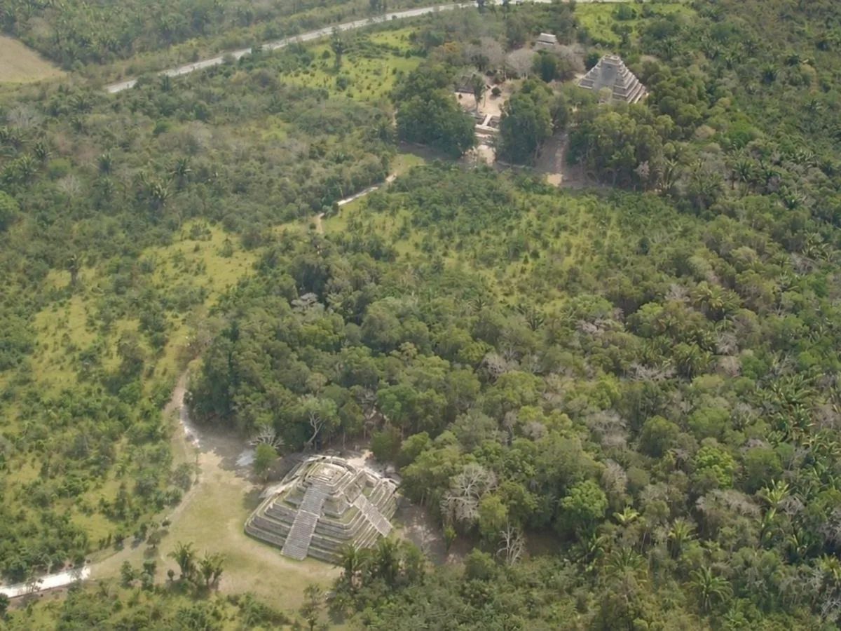 Aerial view of Chacchoben in Quintana Roo, Mexico, showing Temple 24 in the foreground and Temple 1 on the Gran Basamento beyond the surrounding Maya forest.
