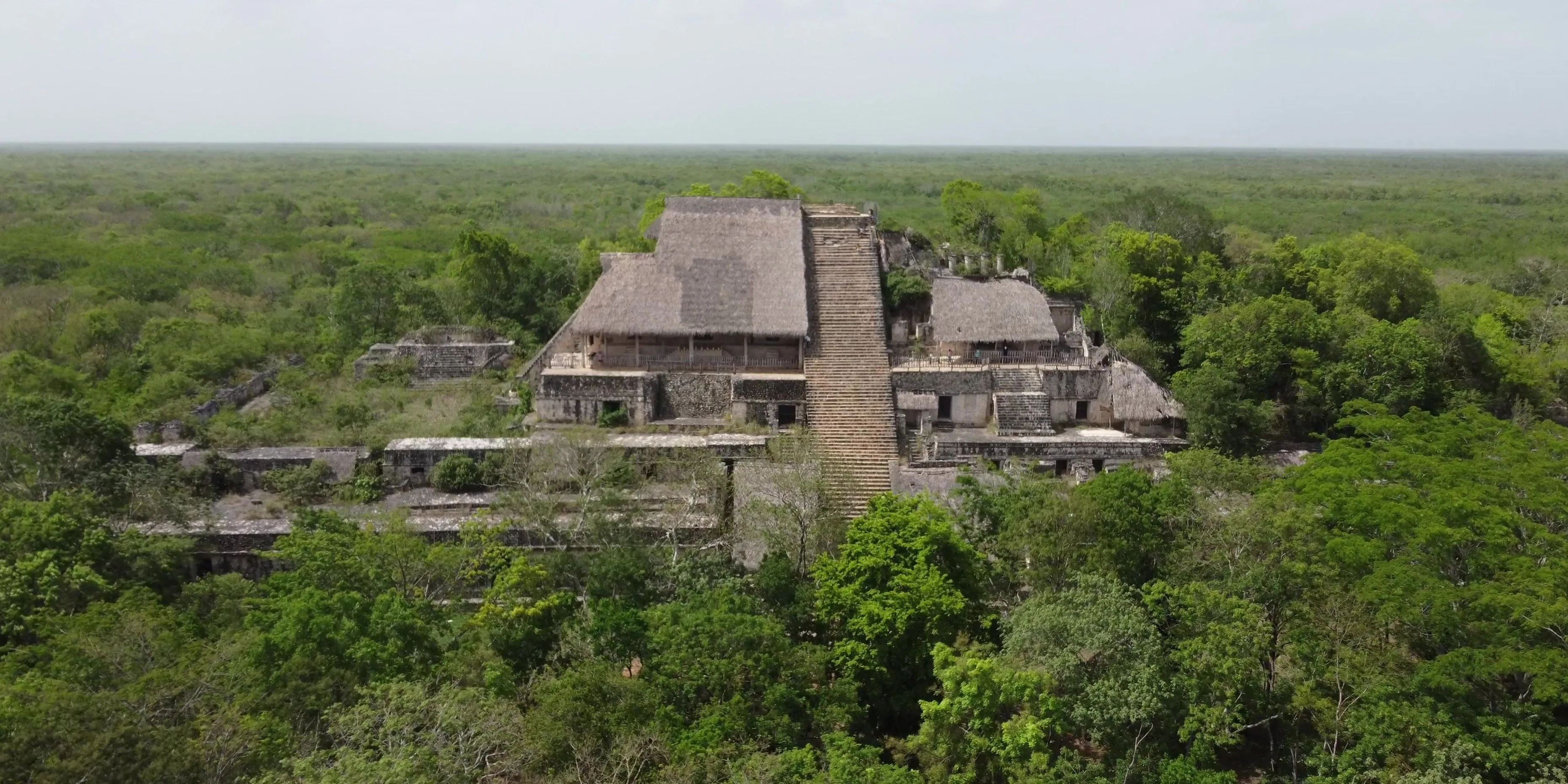 Panoramic view of Structure 1, the Acropolis at Ek Balam in Yucatán, Mexico, showing its tall central staircase, terraced palace rooms, and protective thatched roofs surrounded by forest.