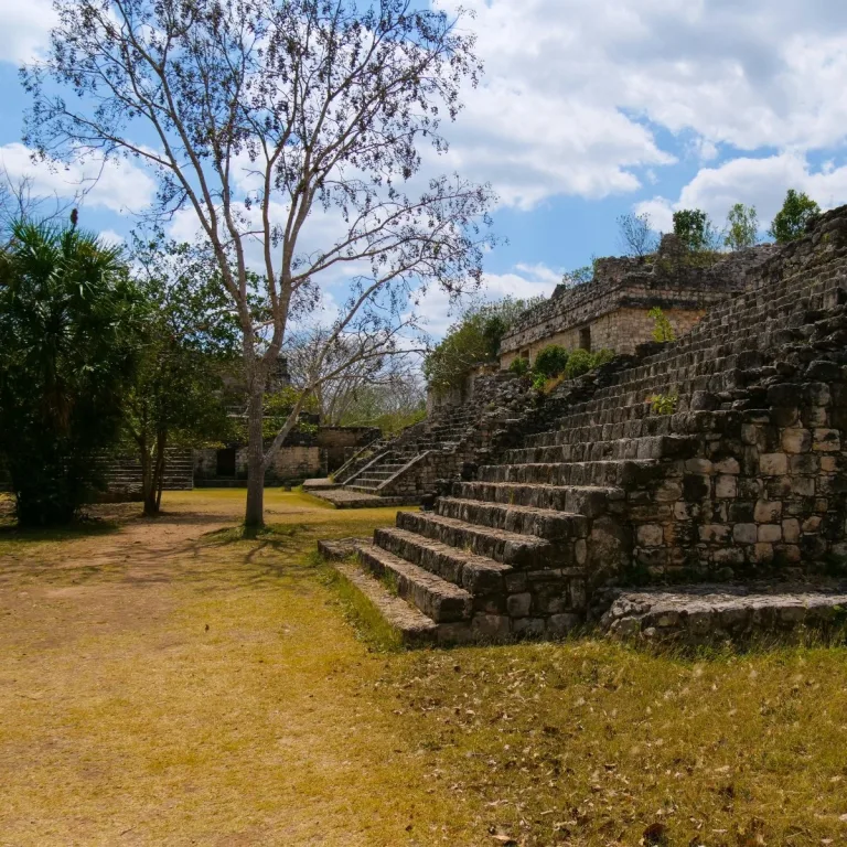 Stone stairways and buildings border an open area of Ek Balam’s North Plaza in Yucatán, Mexico, with a tall tree beside the steps.